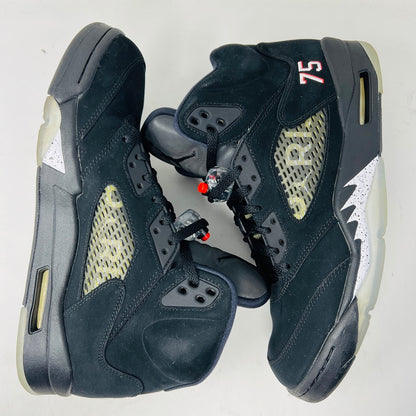 Jordan 5 Retro Paris Saint-Germain