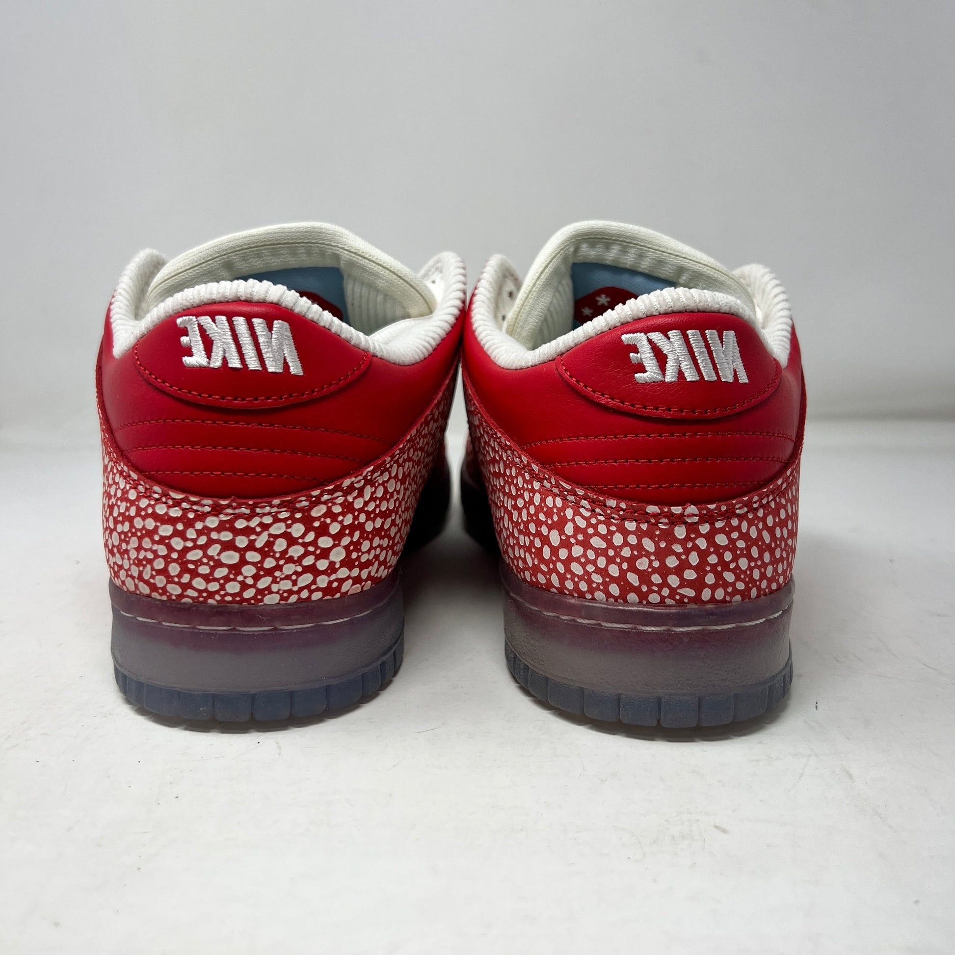 Nike SB Dunk Low Stingwater sneakers, brand new, with extra laces, 2021 model.