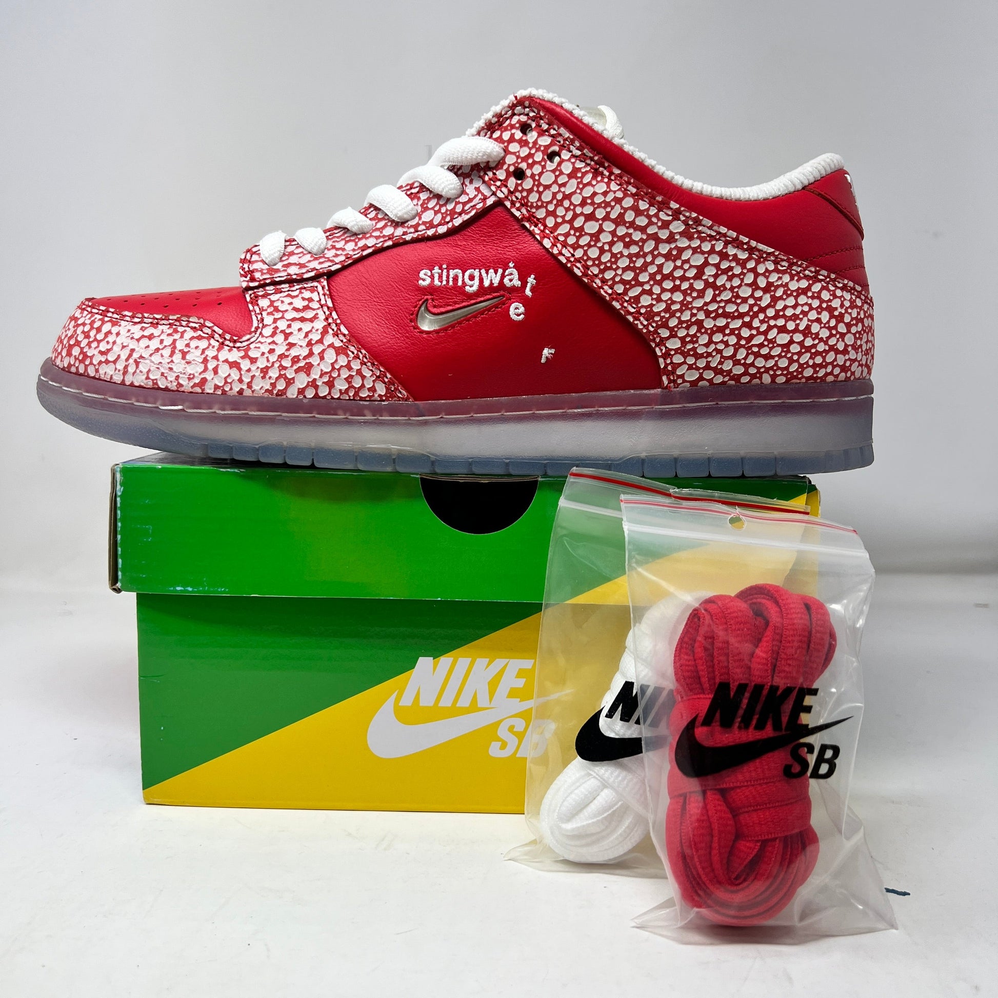 Nike SB Dunk Low Stingwater sneakers, 2021 release, brand new condition, with two extra laces.