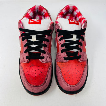 Nike SB Dunk Low Concepts Red Lobster, size 9.5M, lightly worn with discolored toe box, 2008 release.