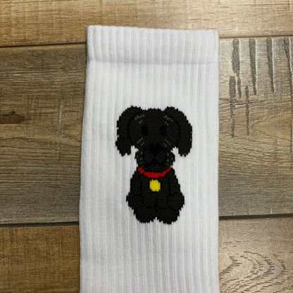 Holy Ground Socks with dog design on wood background.